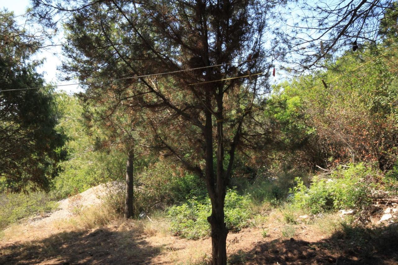 Secluded Fisherman'S Cottage Cove Ripisce, Dugi Otok - 394 Brbinj Exterior foto